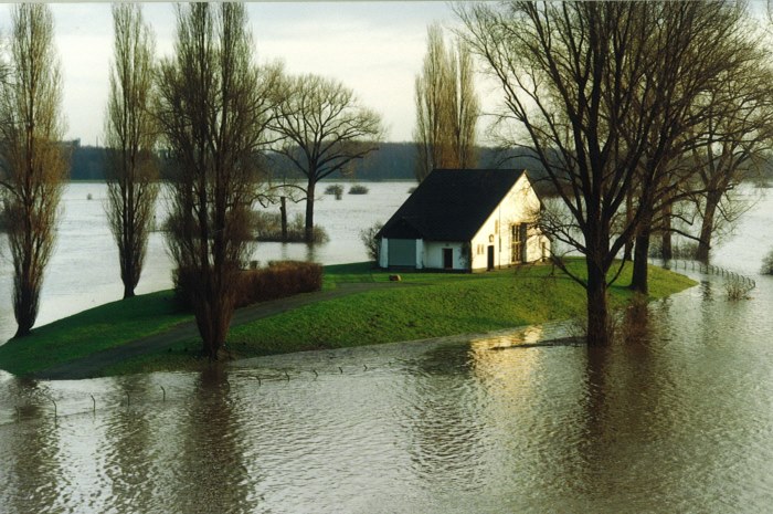 700x465-Hochwasser-1993-3.jpg