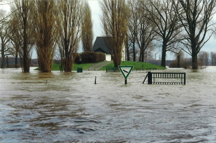 700x465-Hochwasser-1993.jpg